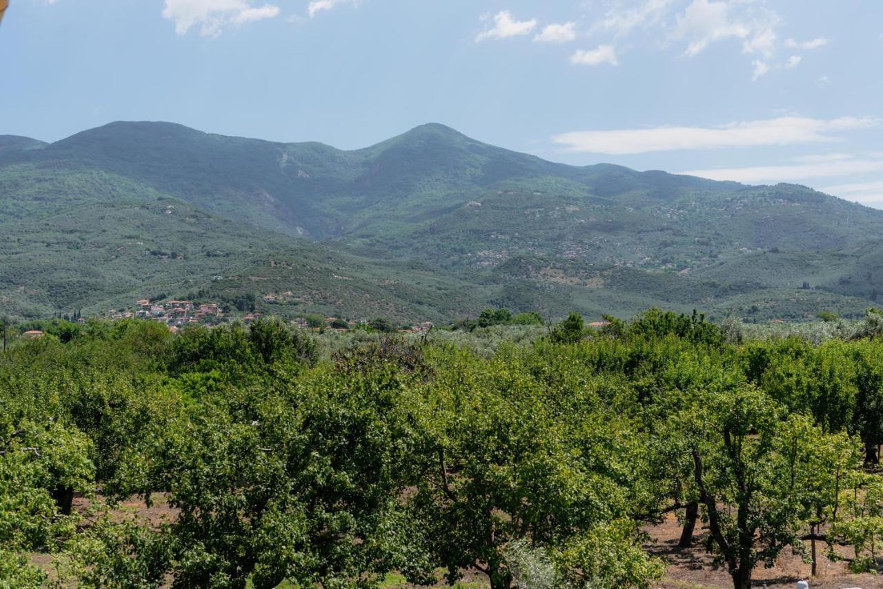 Karavos Grove Βίλα Κάτω Λεχώνια Εξωτερικό φωτογραφία